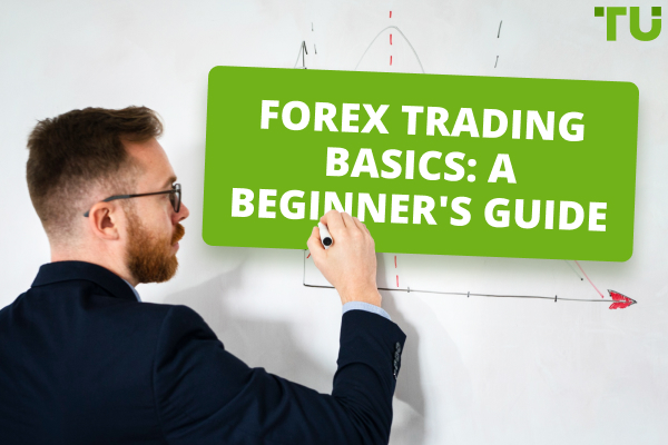 Forex Trading Basics | Every Beginner Should Know